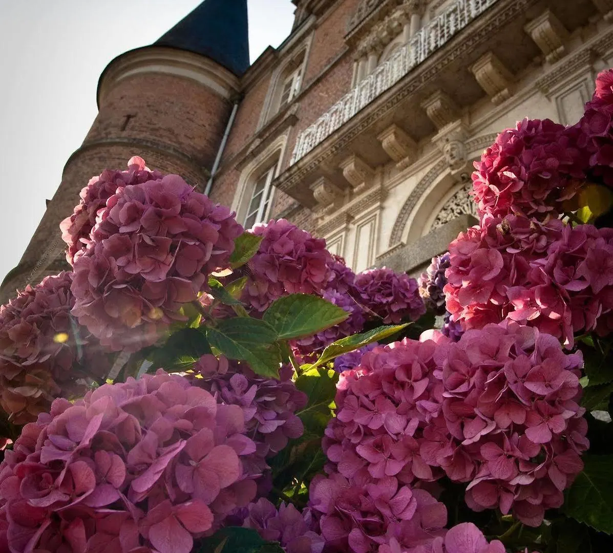 Chateau D'Apigne Rennes Le Rheu Hotell